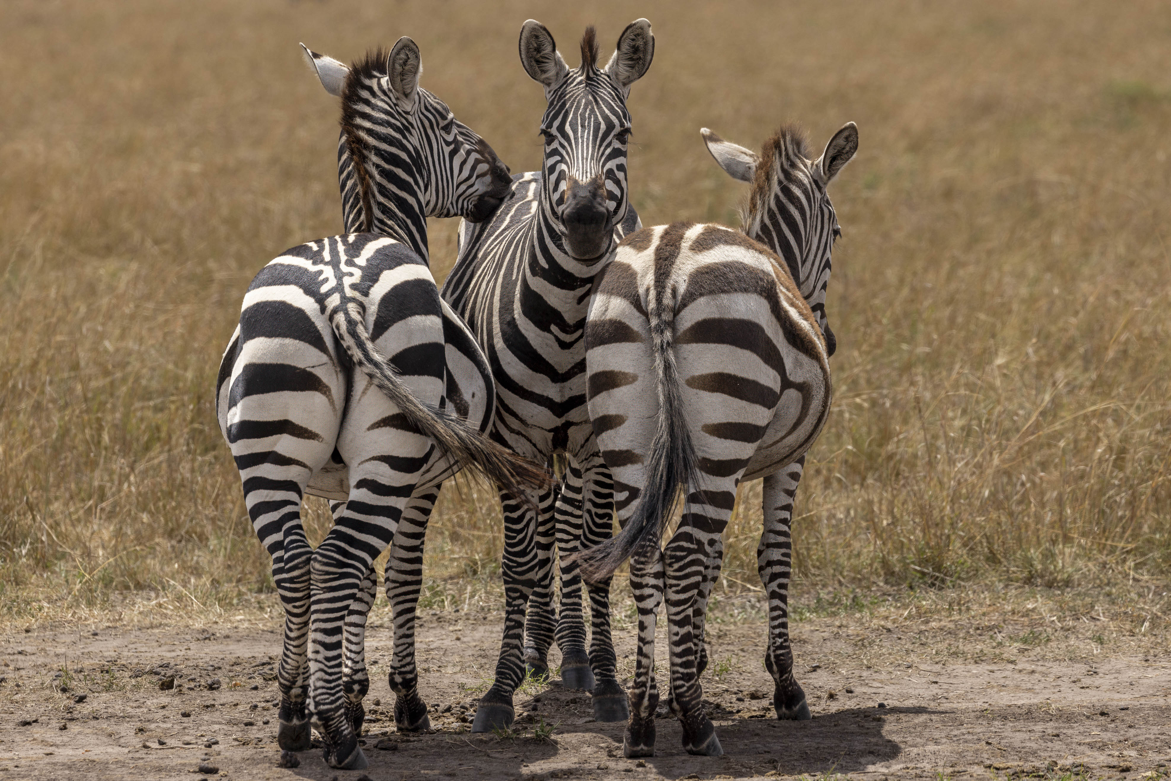 November 10, 2022-112623-Edit.jpg